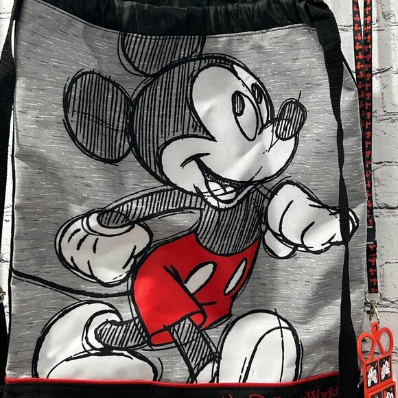 New with tag Disney Parks backpack and lanyard - Picture 1 of 4
